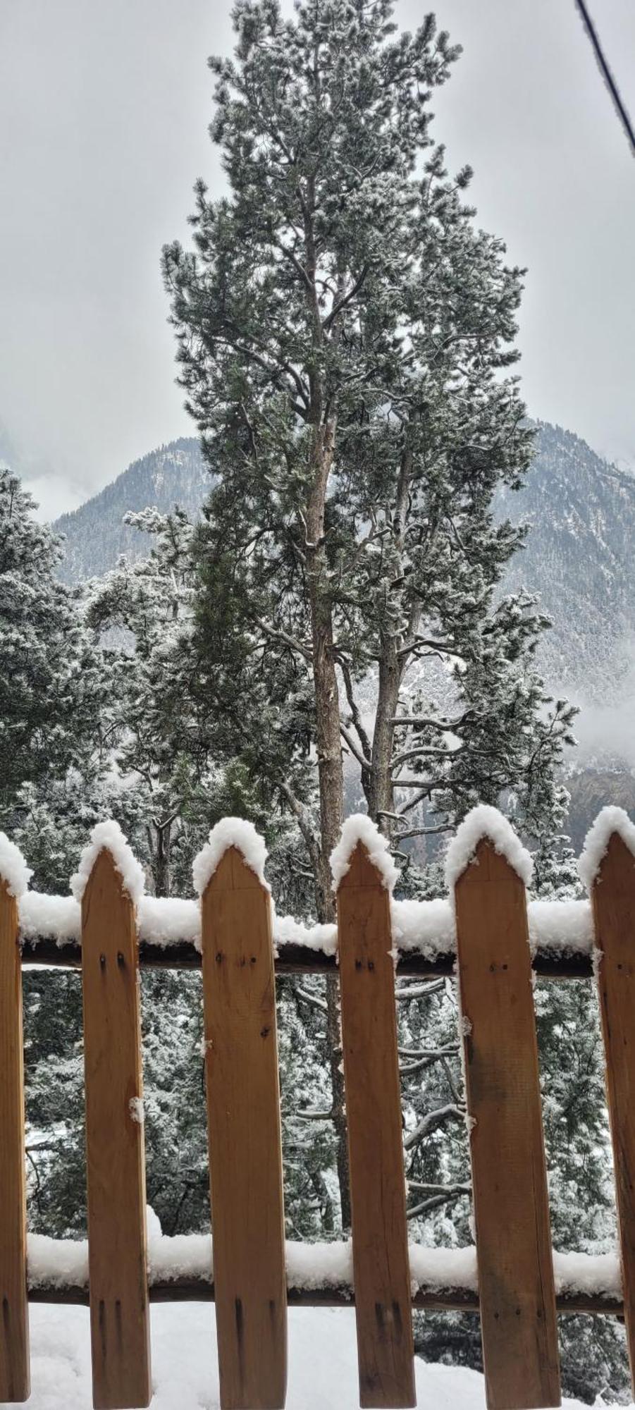 Rudra Homestays Kalpa Εξωτερικό φωτογραφία